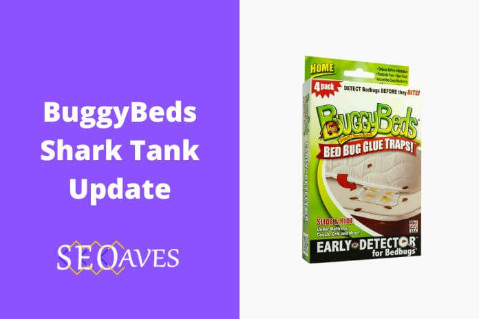 BuggyBeds Shark Tank Update
