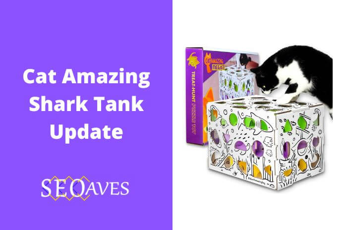 Cat Amazing Shark Tank Update
