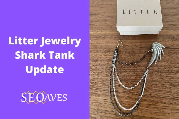 Litter Jewelry Net Worth | Litter Jewelry Shark Tank Update