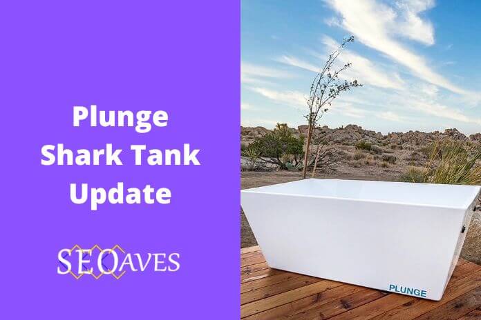 Plunge Shark Tank Update | Plunge Net Worth