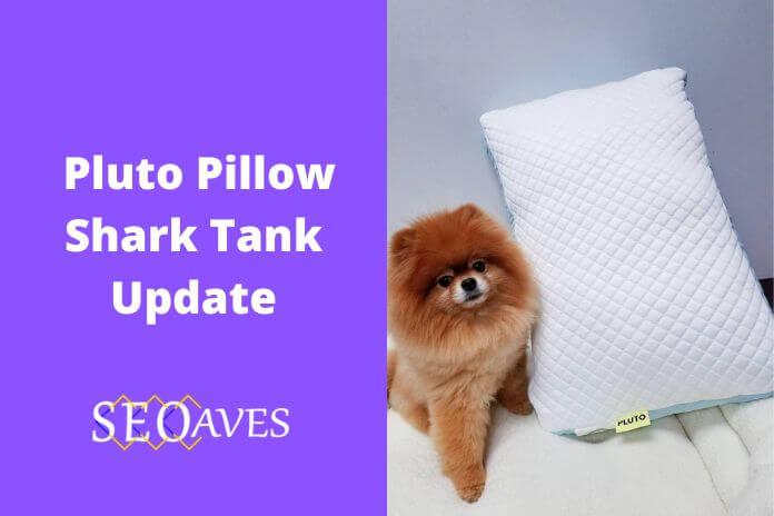 Pluto Pillow Net Worth | Pluto Pillow Shark Tank Update