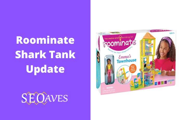 Roominate Shark Tank Update | Roominate Net Worth