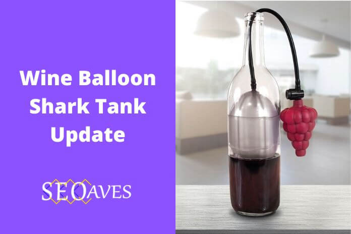 Wine Balloon Shark Tank Update | Wine Balloon Net Worth