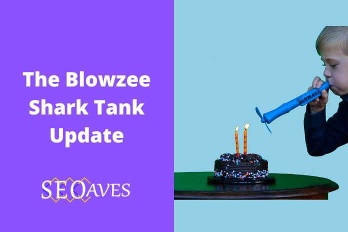 The Blowzee Shark Tank Update | The Blowzee Net Worth