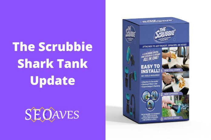The Scrubbie Shark Tank Update | The Scrubbie Net Worth