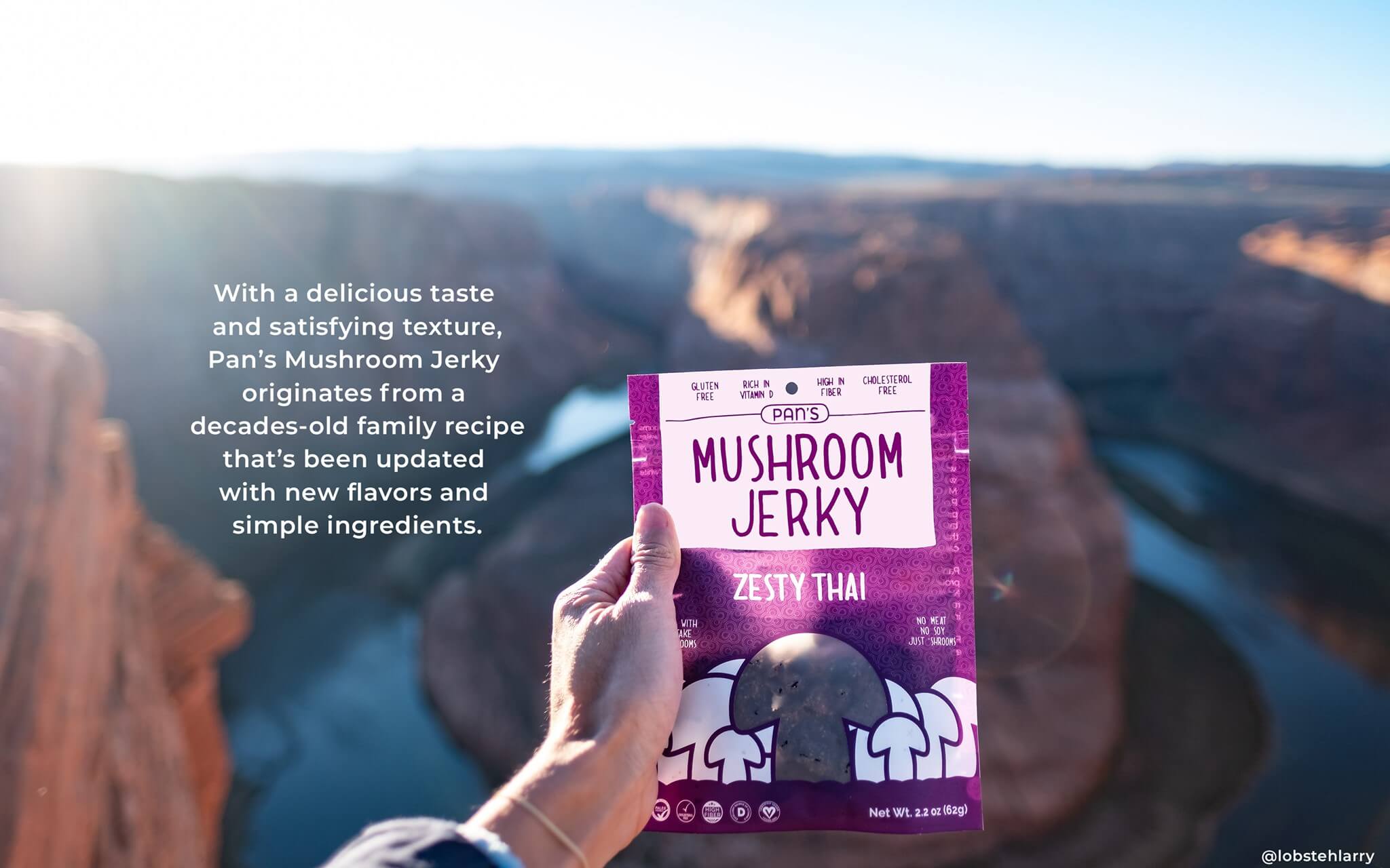Pan's Mushroom Jerky Shark Tank Update: Shark Tank Deal, Net Worth, And