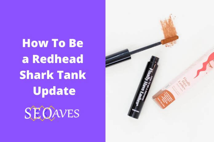 How To Be a Redhead Shark Tank Net Worth 1