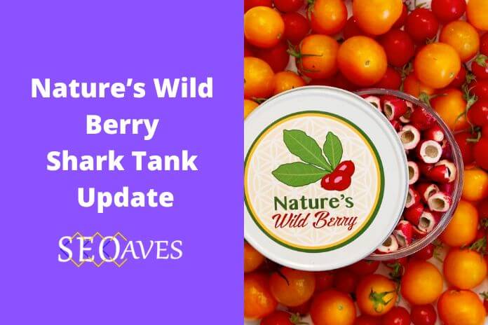 Nature’s Wild Berry Shark Tank Net Worth