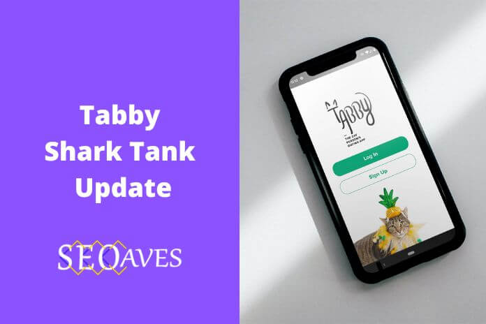 Tabby Shark Tank Update | Tabby Net Worth