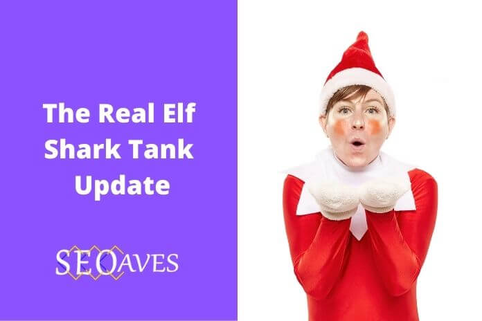 The Real Elf Shark Tank Net Worth