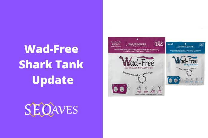 Wad-Free Shark Tank Update | Wad-Free Net Worth
