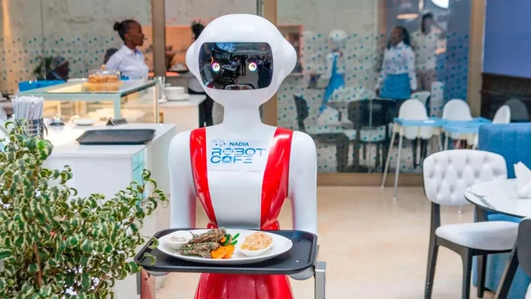 The Rise of Robotics in Restaurants: A New Era of Dining