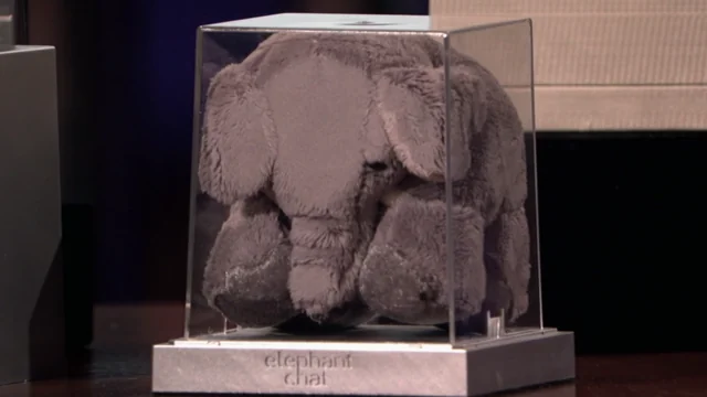 What Happened to Elephant Chat? Shark Tank Failure Explained