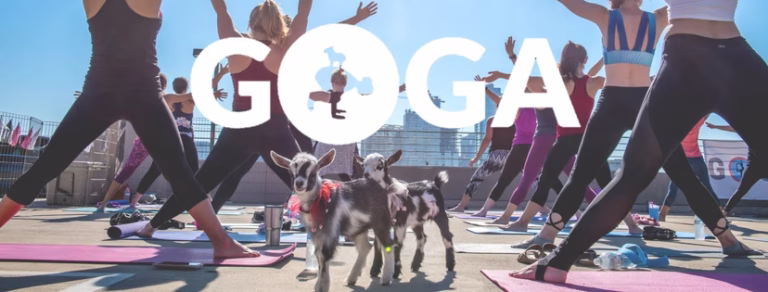 GOGA Goat Yoga Shark Tank Update: Did The Sharks Miss Out?