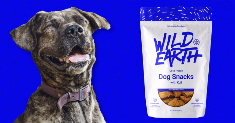 Wild Earth Shark Tank Update: Did Mark Cuban's Bet Pay Off?