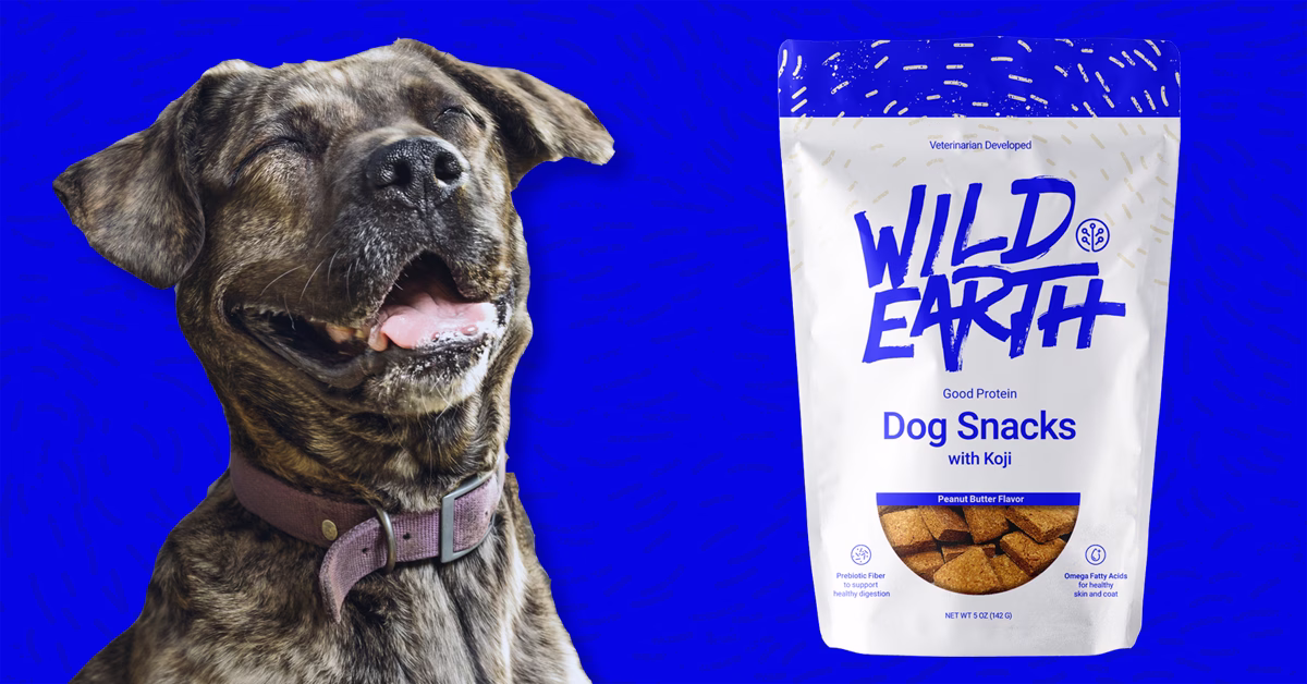 Wild Earth Shark Tank Update: Did Mark Cuban's Bet Pay Off?
